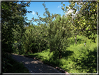 foto Giardini Trauttmansdorff - Paesaggi dell'Alto Adige